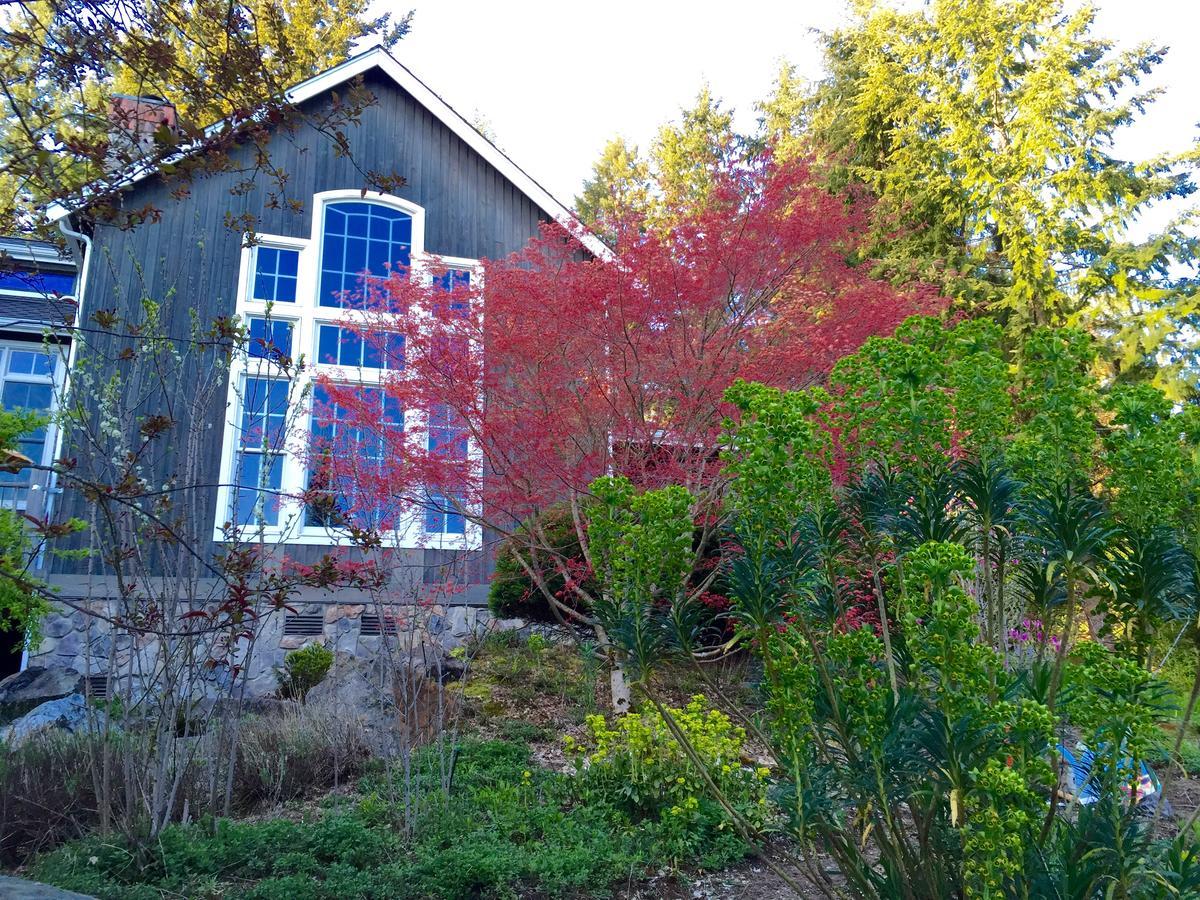 Hideaway Lodge B And B Woodinville Exterior photo